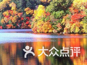 沉睡之间