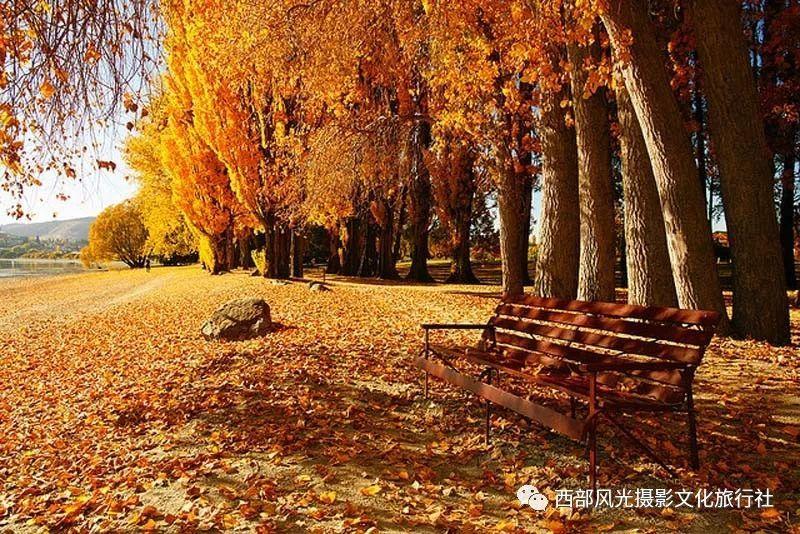 暴走方块