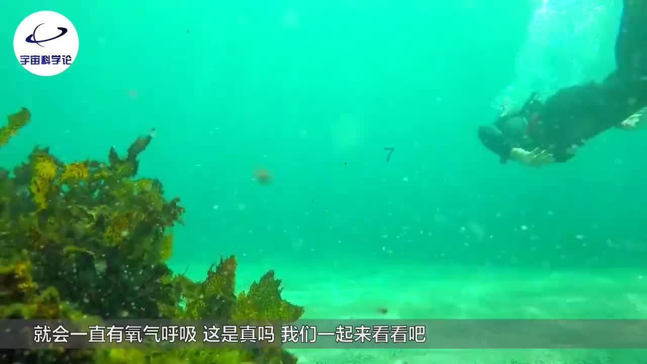 时尚的模特们