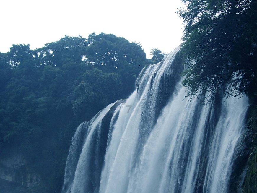 阴暗森林