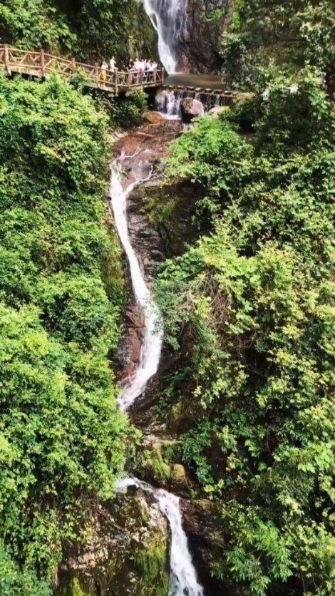 伊诺拉复仇记