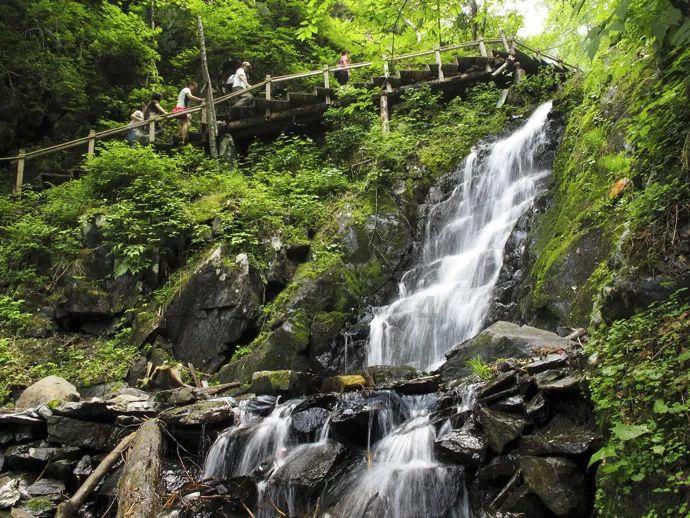 新华全媒+丨川青铁路带火新“高原三宝”