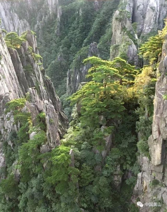 洞穴陷阱逃生