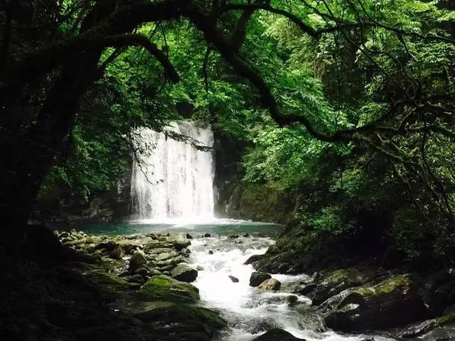“天山雄鹰”勇闯职业拳坛 愿为家乡年轻人“搭桥”