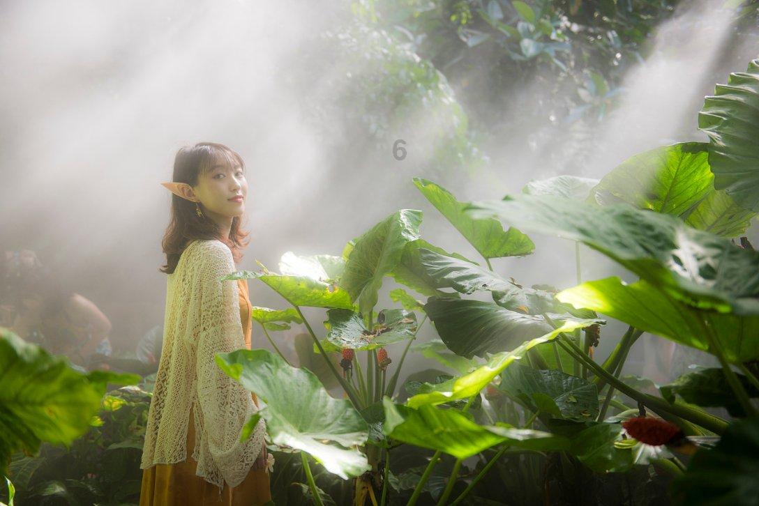 春雨直播app